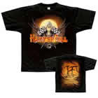 HAMMERFALL