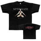 MESHUGGAH