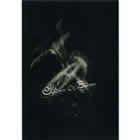 children_of_bodom_guitar_scythes_flag