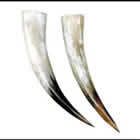 drinking_horn