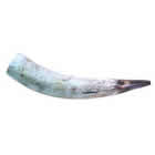 crumhorn