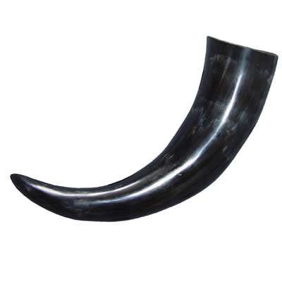 drinkinghorn