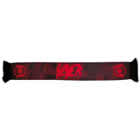 slayer_logo_scarf.jpg