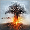 amorphis